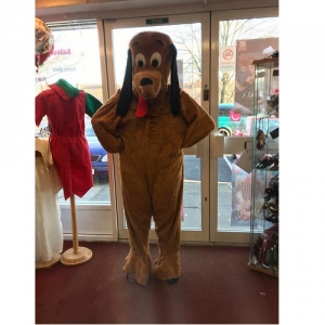 Hire Costume